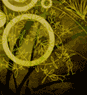 abstract image